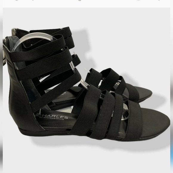 CHARLES BY Charles David Rider sandal - Picture 1 of 6